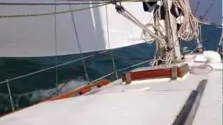 ROSSODISERA