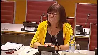 Comisión de Investigación sobre la financiación de los partidos políticos,en el senado 