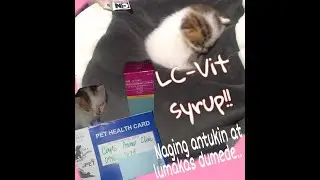 Vitamins for Kittens ( LC-VIT SYRUP)