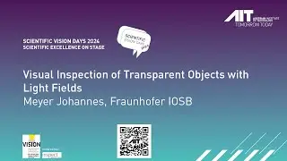 Visual Inspection of Transparent Objects with Light Fields