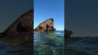 This is one of the most accessible shipwrecks off Rottnest Island, only an 8 minute ride from main