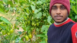 Delly vlogs|| wellcome to HALDER VLOG|| আজ আমি আর মা কি কি করলাম দেখ বন্ধুরা | 