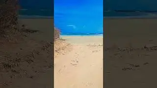 Barawe,Beech,Jimco,Mubarak....