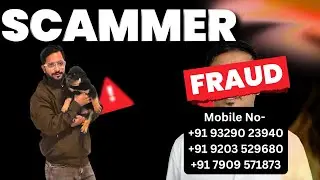 Don&rsquo;t Buy Any Dog Before Watching This! 🔥 | Puppy Seller Scammer Exposed