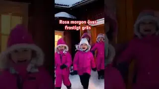 Rosa morgon &ouml;ver frostigt gr&auml;s