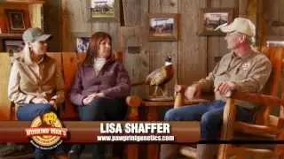 Canine Health segment 1: Why do genetic testing on your dog?
