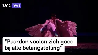 Populairste paardenshow van Europa strijkt neer in Antwerpen