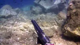 &Psi;&alpha;&rho;&omicron;&nu;&tau;&omicron;ύ&phi;&epsilon;&kappa;&omicron; - Spearfishing 85 Roller Distance shot.wmv