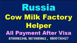 Russia Cow Milk Factory Helper || Salary 60k to 65k || All Payment After Visa || NL Overseas