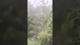 rain sound is the best therapy 💦RainyDay #WeatherWonders #RainLovers #NatureVibes #SoothingRain