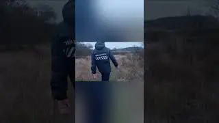 Мы будем эволюционировать.....🤔 #мем #мемы #приколы