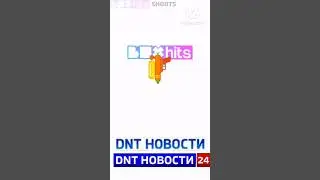 dnt новости и dnt новости 24 не будет @Dnt_online