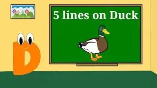 5 lines on Duck for preschool and kindergarten kids