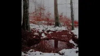 Strawberry Switchblade  -  Being Cold (with Lyrics)