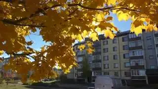 Разноцветная осень. Мулино 2018