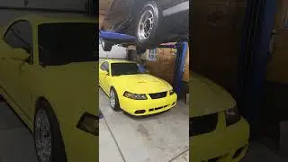 The OG Legit Street Quaters! Alex's Cobra is Sweeet!