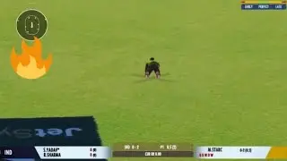 David Warner best catch India vs Australia #gaming #cricketgaming
