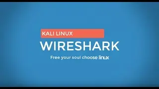 Wireshark - network traffic sniffing
