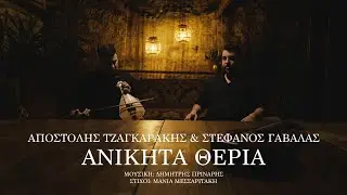 Αποστόλης Τζαγκαράκης - Στέφανος Γαβαλάς | 