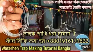 Amazing Quick Wild Duck Trap Using Wood- Easy Wild Duck Trap working 100%. Duck trap,water duck trap