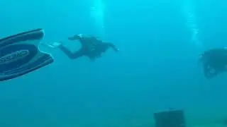 a dive in radazul
