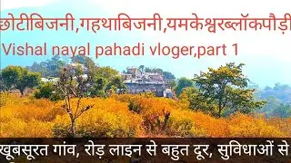 छोटी बिजनी,गहथा बिजनी, यमकेश्वर ब्लॉक पौड़ी गढ़वाल।। रोड़ लाइन से बहुत दूर पर बसा गांव 
