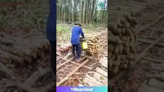 The SECRET to Moving TONS of Wood Revealed!🤫 This DIY Forest Rail System is Pure GENIUS! #wood #diy
