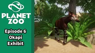 Planet Zoo Episode 6: Okapi Exhibit