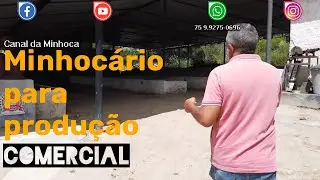 Minhocário para produção comercial