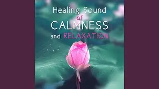 Dark Sky: Meditation with Nature Sounds