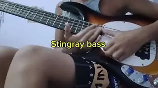 Musicman sterling, Squier mini presicion bass OR, Squier Jazz bass????