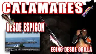 descubre como se pesca el calamar desde espig&oacute;n, tutorial y accion de pesca