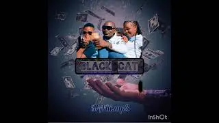 King Black Cat (good life) pro by DJ obbenwink