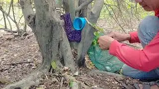 Easy Creative Big Snake Trap Easy #snake #snaketrap #animals 