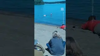 Flamingos Spotted in Ohio After Hurricane Idalia
