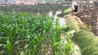 قرية ذخر