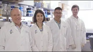 Mount Sinai Future You: Diabetes