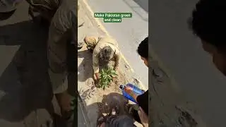 plants a tree #greenpakistan #planttree #saveenvironment #like #share #foryou