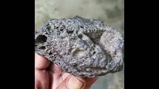 METEORITE COLLECTOR.