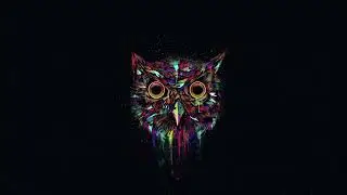 Nocna Ptica (Music Video)