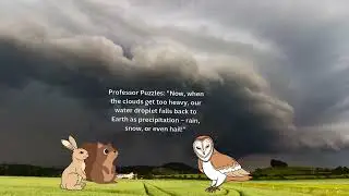 Professor Puzzles Amazing Adventures Episode Water Cycle | Fun Kids Cartoon for Learning