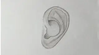 Easy drawing | How to draw a ear for bigeners | Ear drawing step by step | Easy tutorial