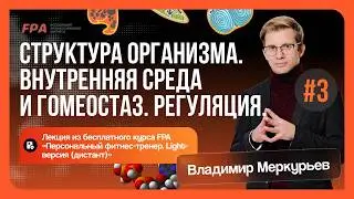 Структура организма. Внутренняя среда и гомеостаз. Регуляция. Часть 3