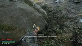 Days Gone - No Starving Patriots | Clear The Ambush Camp