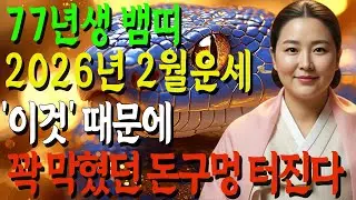 [2026년 77년생 뱀띠 2월 운세] 곧 ‘큰 일’ 하나 터집니다! 꼭 들으세요! #병오년 #신년운세#77년생뱀띠#뱀띠운세#2월운세