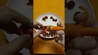 Jujube pit removing artifact