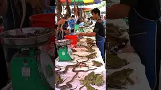 Unbelievable Market Full of Snakes and Frogs &mdash; Vendors in Blue Aprons!@mfajar88