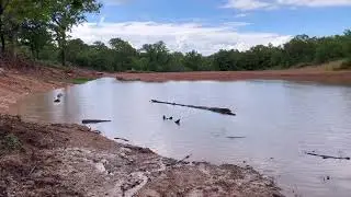 Fastest 2 acre pond fill up in history. #heavyequipment #fishing #kubota #dozer
