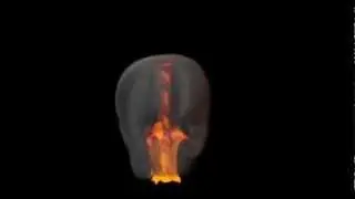 Blender Fire