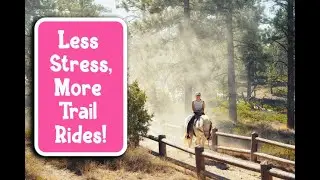 Horseback Therapy: The Benefits of Trail Riding